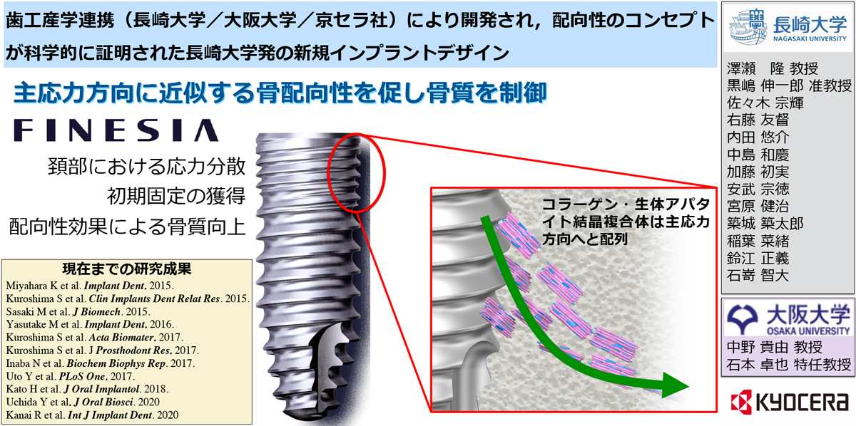 主応力方向に近似する骨配向性を促し骨質を制御