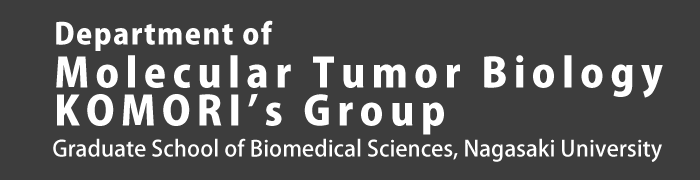 Department of Molecular Tumor Biology KOMORI's Group, Graduate School of Biomedical Sciences, Nagasaki University