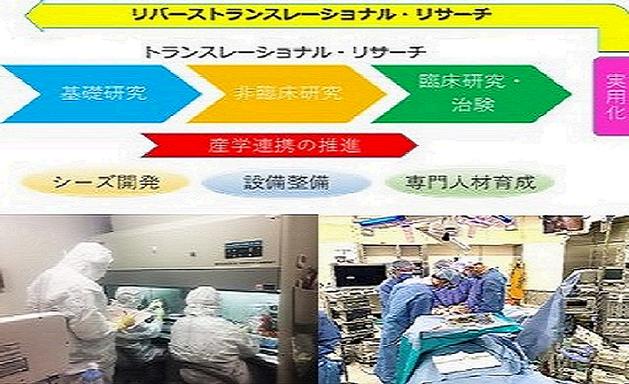 先進口腔医療開発学