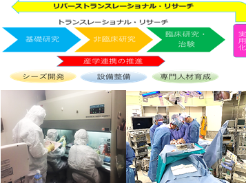 先進口腔医療開発学