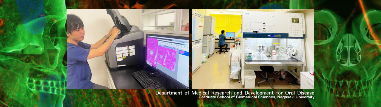 Department of Medical Research and Development for Oral Disease, Graduate School of Biomedical Sciences, Nagasaki University