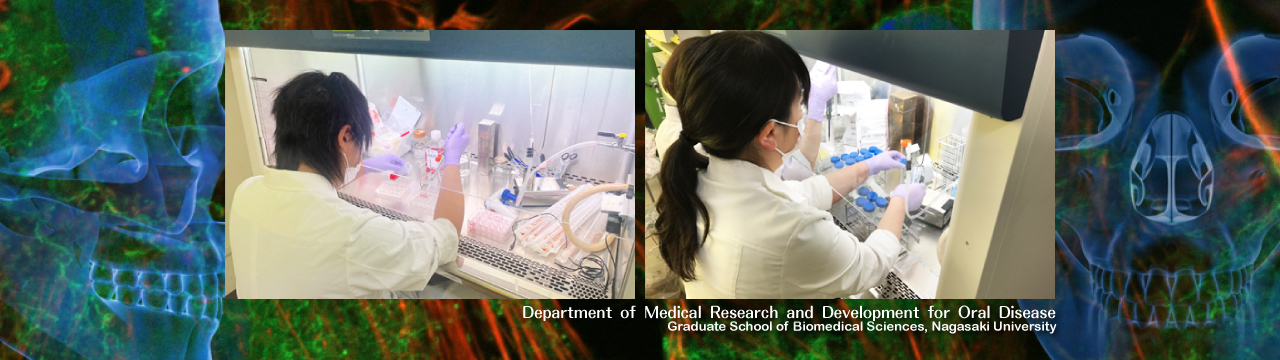 Department of Medical Research and Development for Oral Disease, Graduate School of Biomedical Sciences, Nagasaki University