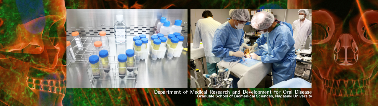 Department of Medical Research and Development for Oral Disease, Graduate School of Biomedical Sciences, Nagasaki University