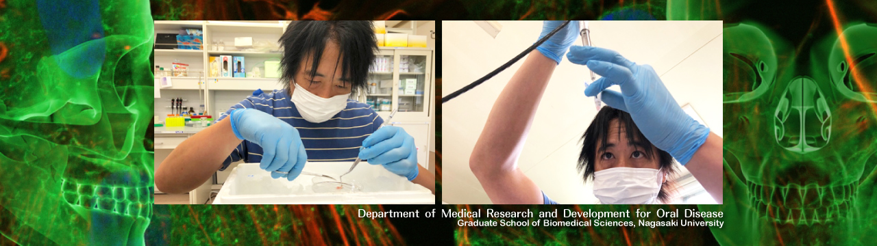 Department of Medical Research and Development for Oral Disease, Graduate School of Biomedical Sciences, Nagasaki University