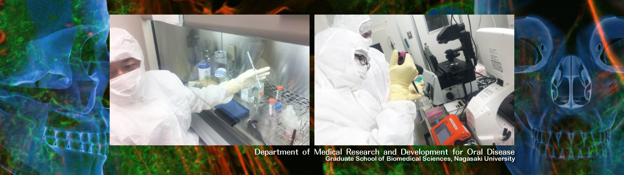 Department of Medical Research and Development for Oral Disease, Graduate School of Biomedical Sciences, Nagasaki University